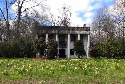 An old, abandoned house with columns, surrounded by a field of yellow flowers and trees under a blue sky.