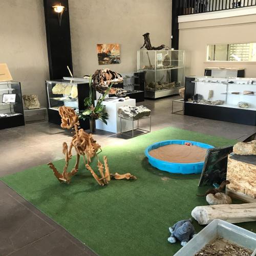 A spacious exhibit room with displays of fossils, rocks, and a small play area with a blue sandbox on green grass.