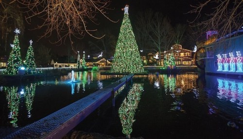 A beautifully lit Christmas tree stands by a lake, surrounded by festive decorations and reflections in the water.