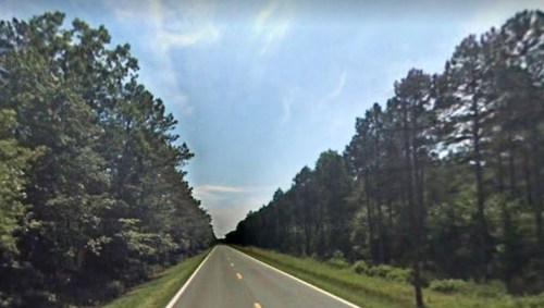 A straight road lined with trees under a clear blue sky.