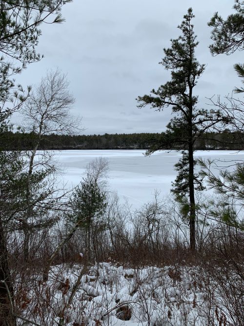A snowy landscape with a frozen lake, framed by trees under a cloudy sky.