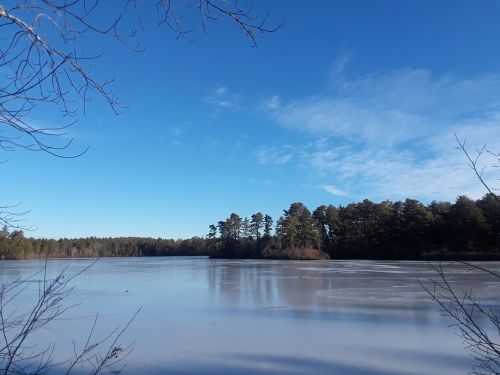 A serene frozen lake surrounded by trees under a clear blue sky.
