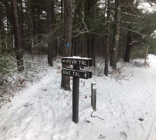 A wooden signpost in a snowy forest, indicating trails for "RSVTR TRL" and "BIKE TRL." Pine trees in the background.