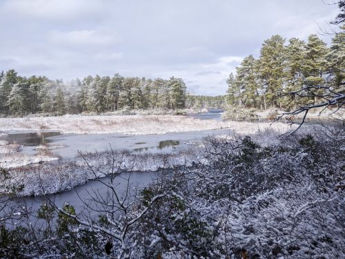 A serene winter landscape featuring a snowy marsh, trees, and a calm waterway under a cloudy sky.
