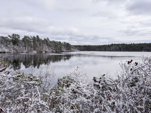 A serene winter landscape featuring a snowy shoreline and a calm lake surrounded by trees under a cloudy sky.