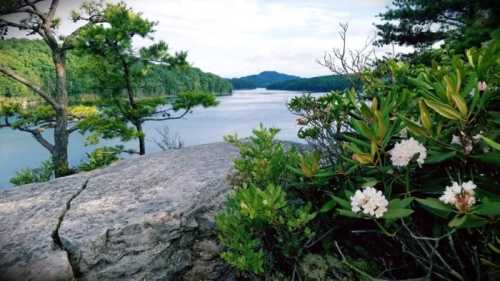 A serene lake surrounded by lush greenery and blooming flowers, with mountains in the background under a clear sky.