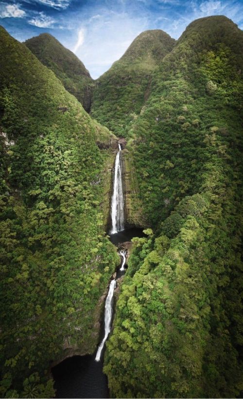 A stunning waterfall cascades down lush green mountains, surrounded by dense tropical foliage under a blue sky.