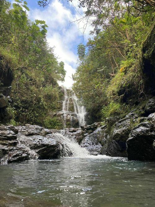 A serene waterfall cascades over rocks into a clear pool, surrounded by lush greenery and a bright blue sky.