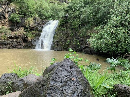 A serene waterfall cascades into a muddy pool, surrounded by lush greenery and rocky terrain.