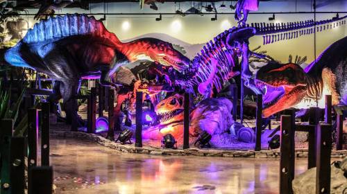 A vibrant dinosaur exhibit featuring life-sized models and skeletons, illuminated with colorful lights.