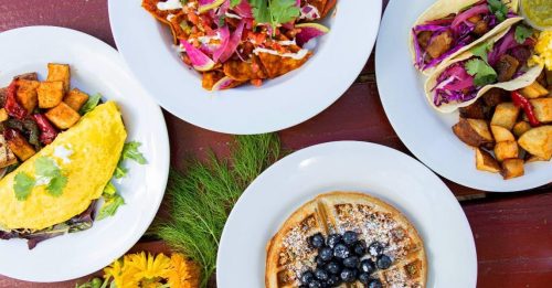 A colorful spread of brunch dishes: an omelette, tacos, a waffle with blueberries, and seasoned potatoes on white plates.