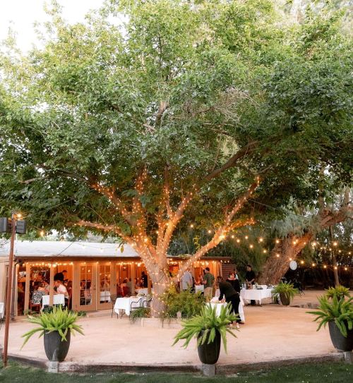 A beautifully lit outdoor venue with a large tree, surrounded by guests enjoying a gathering.