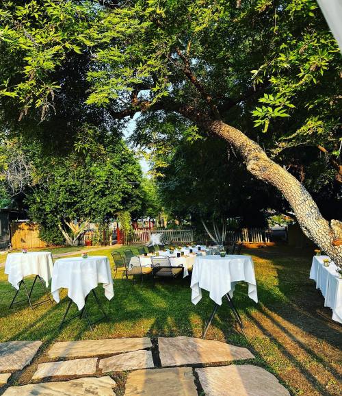 Outdoor dining setup with white tables under a large tree, surrounded by greenery and a stone pathway.