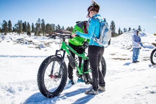 A person in a blue jacket stands next to a green fat bike on a snowy landscape, with trees in the background.