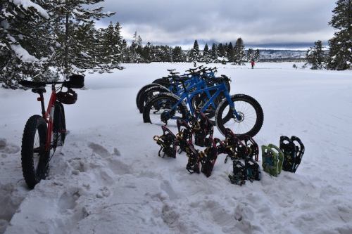 A row of snow bikes and snowshoes on a snowy landscape with trees and a cloudy sky in the background.