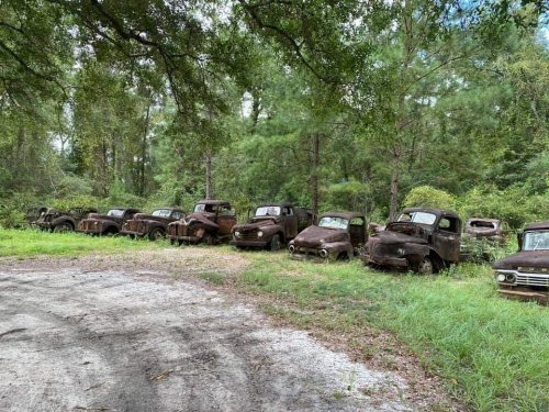 A row of rusted vintage cars and trucks abandoned in a lush green forest.