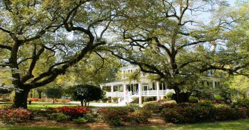 A charming white house surrounded by lush greenery and colorful flowers, with large trees providing shade.