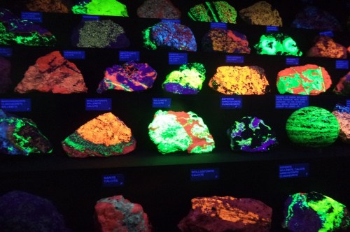 Glowing minerals in a museum