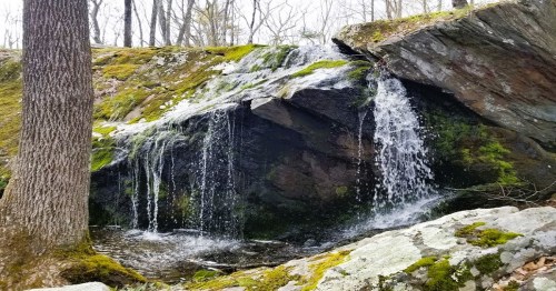 A serene waterfall cascading over moss-covered rocks in a forested area.