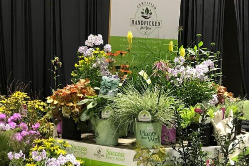 A display of various colorful plants and flowers at a gardening event, with a banner promoting local, certified plants.
