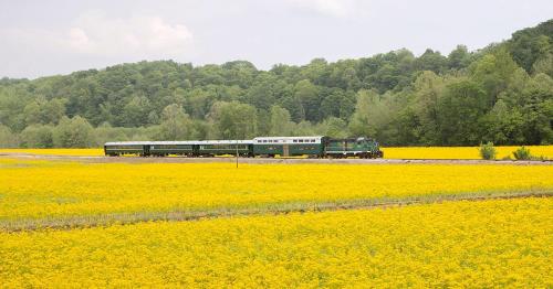 A green train travels through a vibrant yellow flower field, surrounded by lush green trees and hills.