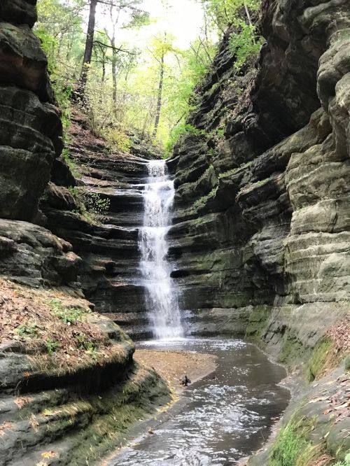 A serene waterfall cascades down rocky cliffs into a calm pool, surrounded by lush greenery and trees.