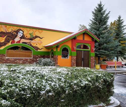 Colorful building with a mural, surrounded by snow-dusted greenery and pine trees on a cloudy day.