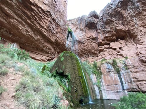 A waterfall cascades over moss-covered rocks in a canyon, surrounded by red rock formations and greenery.