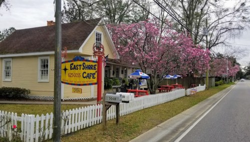 A charming yellow café with pink flowering trees, outdoor seating, and a white picket fence along a quiet road.