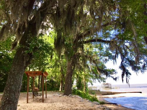 A serene lakeside scene with trees draped in Spanish moss, a wooden swing, and a distant pier under a clear sky.