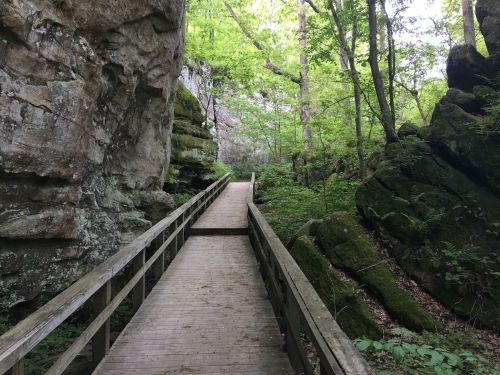 A wooden boardwalk winds through a lush green forest with rocky cliffs on either side.