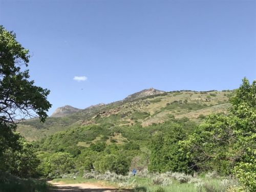 A scenic view of green hills under a clear blue sky, with a dirt path leading through lush vegetation.