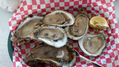 A plate of fresh oysters on a red and white checkered paper, with a lemon wedge on the side.