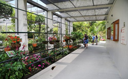 A garden walkway lined with colorful flowers and plants, with visitors admiring the scenery.