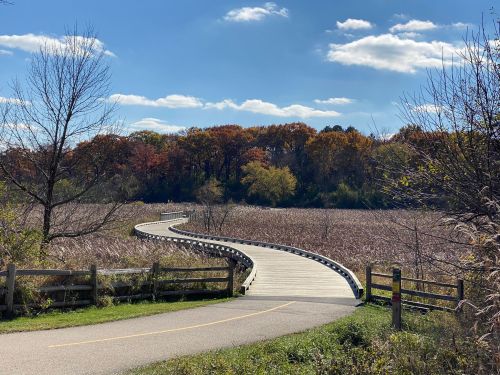 A winding boardwalk through a grassy area, surrounded by trees with autumn foliage under a blue sky.