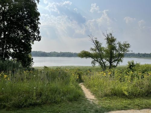 A serene lakeside view with a path, surrounded by wildflowers and trees under a partly cloudy sky.