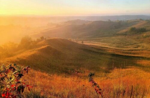 A serene landscape at sunrise, featuring rolling hills and golden grass under a soft, misty sky.