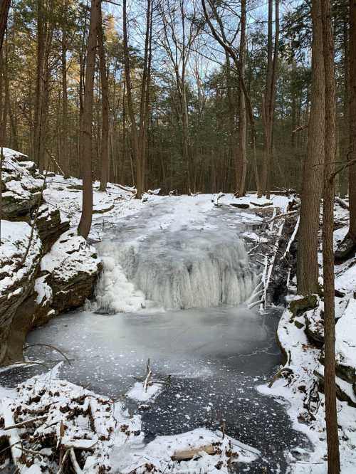 A frozen waterfall surrounded by snow-covered rocks and trees in a serene forest setting.