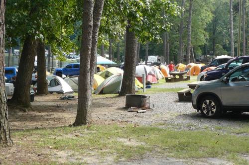 A campsite with various colorful tents set up among trees, with parked cars and picnic tables in the background.