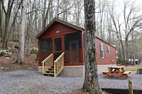 A cozy cabin with a screened porch, surrounded by trees and gravel, featuring a picnic table in front.