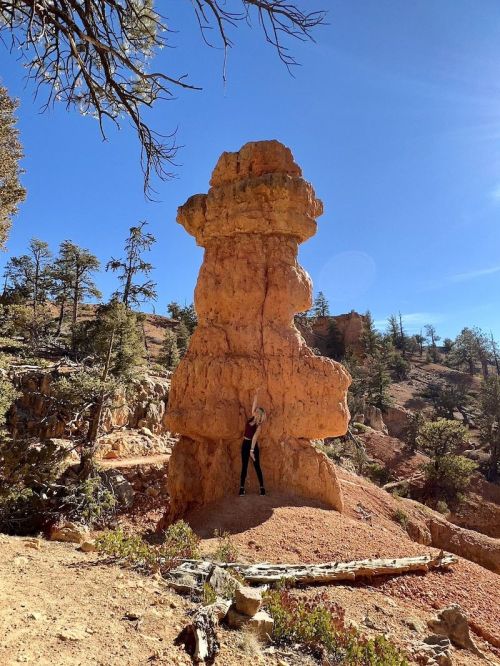 A person stands beside a tall, unique rock formation in a forested area under a clear blue sky.
