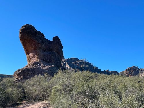 A large rock formation resembling a seated figure, surrounded by desert vegetation under a clear blue sky.