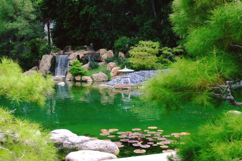 A serene garden scene featuring a pond with lily pads, a waterfall, and lush greenery surrounding the water.