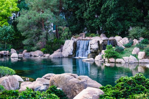 A serene pond with a small waterfall, surrounded by lush greenery and large rocks.