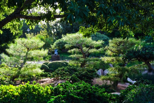 Lush green garden with sculpted trees, rocks, and a serene pond, illuminated by soft sunlight filtering through the leaves.
