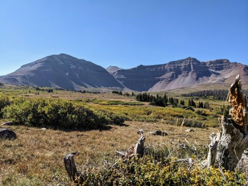 A scenic view of mountains and a grassy meadow under a clear blue sky, with trees in the background.