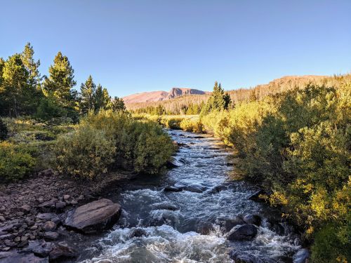 A serene river flows through a lush landscape, surrounded by trees and mountains under a clear blue sky.