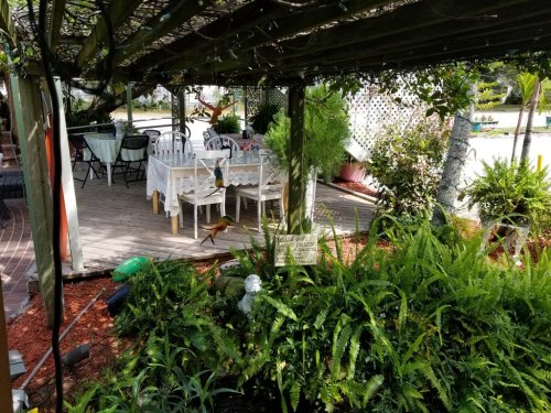 A shaded outdoor patio with white tables and chairs surrounded by lush greenery and ferns.