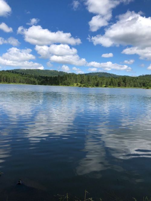 A serene lake reflecting fluffy clouds and green hills under a bright blue sky.