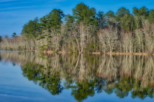A serene lake reflecting trees and a clear blue sky, creating a peaceful natural landscape.